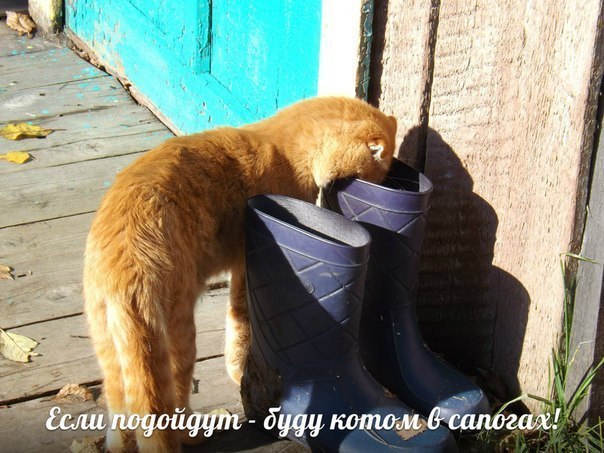  -  - 18  2014  16:12