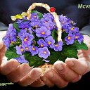 ���� Nini, �������, 53 ���� - ��������� 15 ���� 2014 � ������ ������ ��������