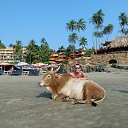  ,  -  8  2014    2014  ,  , 