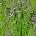 ���� �������, ���������, 71 ��� - ��������� 1 ��� 2014 � ������ ���� ����������