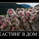 ���� ��������, ����-�� - ��������� 29 ����� 2014 � ������ ������ ��������
