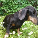  Gelya   20, , 57  -  27  2014    