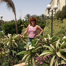 ���� ������, ������������, 61 ��� - ��������� 29 ����� 2014