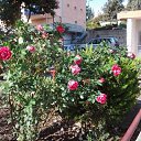 ���� Mihail, ����, 63 ���� - ��������� 16 ����� 2014 � ������ �Timeline Photos�