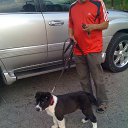 ���� ��������, ������ - ��������� 4 ���� 2014 � ������ ������