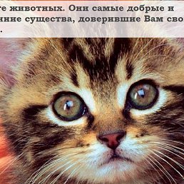 ���� �������, �����, 49 ��� - ��������� 14 ������ 2014