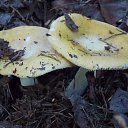 ���� �����, �����, 64 ���� - ��������� 6 ��� 2014 � ������ ������������ ������