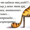���� �������, ������ - ��������� 8 ��� 2014 � ������ ������ ��������