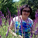 ���� ����, ���������, 71 ��� - ��������� 3 ������� 2014 � ������ �����