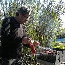  Dimitri, , 62  -  16  2014   ADANA 2014 MART