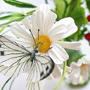 ���� ������, ������, 59 ��� - ��������� 14 ������ 2014 � ������ ������ ��������