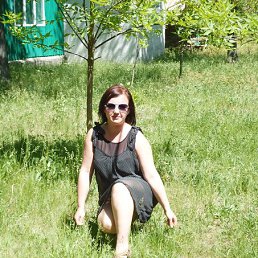 ���� �����, ������ - ��������� 29 ������ 2014