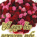 ���� ������, ������ - ��������� 11 ��� 2014 � ������ ������ ��������