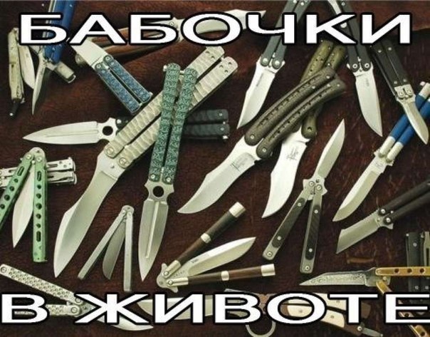 ���� - 7 ���� 2014 � 12:46