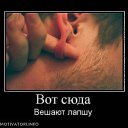 ���� ���������, ������, 34 ���� - ��������� 17 ��� 2014 � ������ ���� ����������