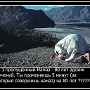  Ali, , 61  -  16  2014    