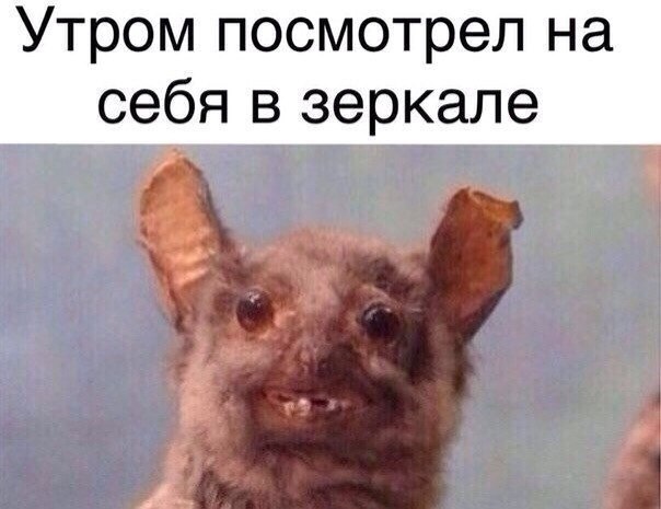    :D - 19  2014  04:03