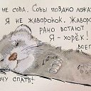  Felix, , 31  -  17  2014    