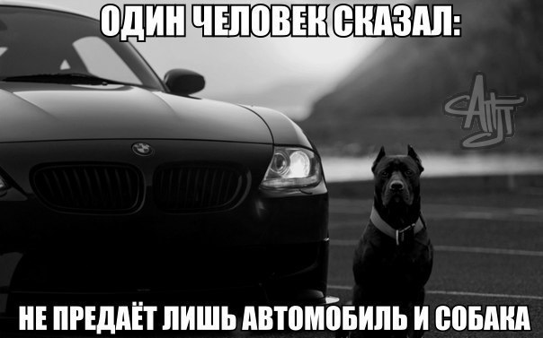 BMW | Mercedes | AUDI - 6  2014  01:19