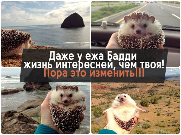 Монотонные будни затягивают и укачивают. Десятки лет в полусонном состоянии – этого ли Вы хотели для ...