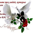 ���� ����, ������ - ��������� 28 ������ 2014 � ������ ���� ����