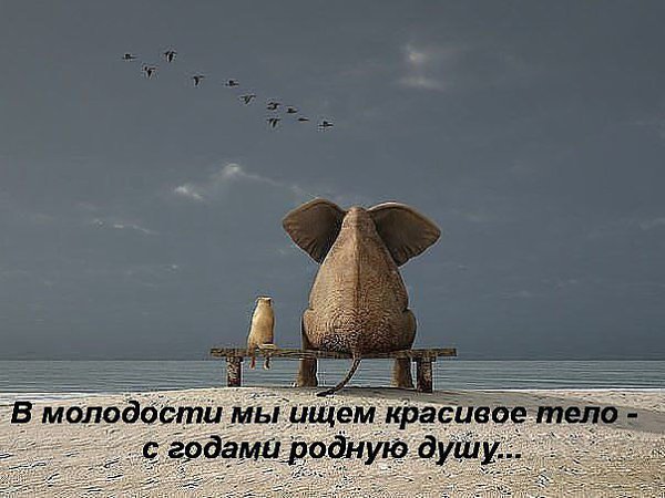 - 31  2014  11:36