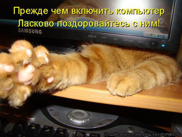 /zev/null - 29 ��� 2014 � 12:59