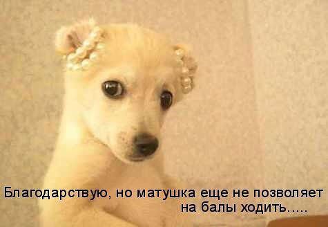   - 11  2014  12:58
