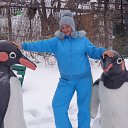 ���� �������� ������������, ����������, 59 ��� - ��������� 24 ����� 2014