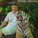 ���� ��������, ��������, 63 ���� - ��������� 2 ������� 2014