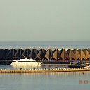 ���� Ali, ������ ��������, 62 ���� - ��������� 11 ��� 2014 � ������ ���� ����������