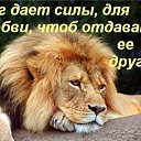 ���� N, ������ - ��������� 10 ���� 2014 � ������ ���� ����������