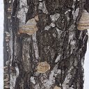 ���� ��������, ��������, 57 ��� - ��������� 24 ����� 2014 � ������ ������� ���2014�