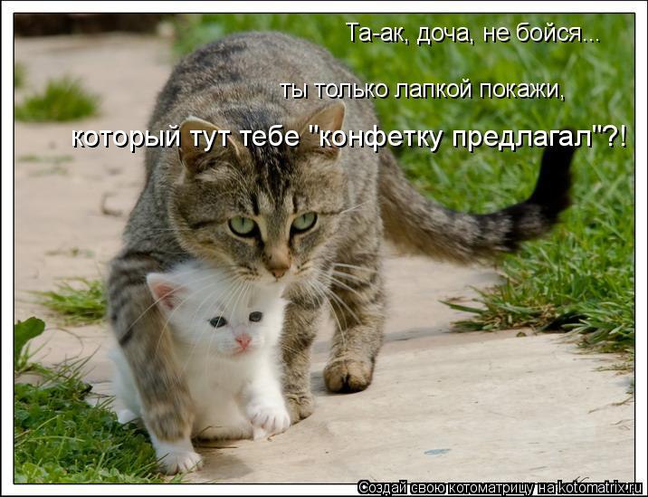   :3 - 8  2014  17:34