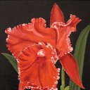 ���� Oleg, ������, 87 ��� - ��������� 15 ���� 2014 � ������ �Paints�
