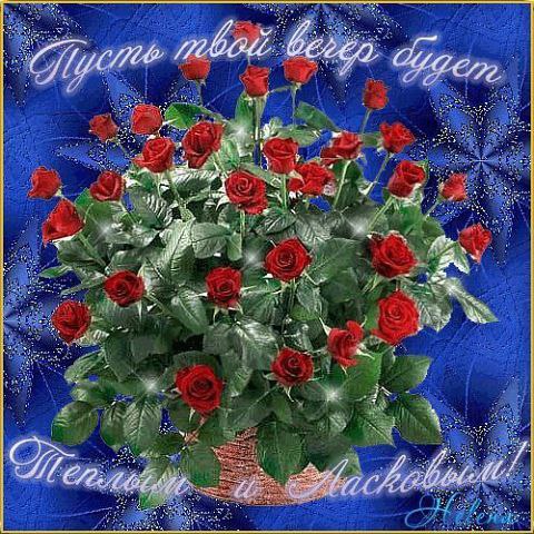 ����. - 18 ��� 2014 � 11:48