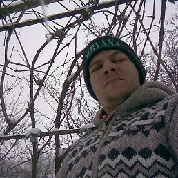 , 38, 