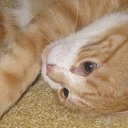     ,  -  15  2014     !