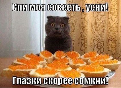     <a href=