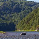  , , 46  -  12  2014       5-7  2014