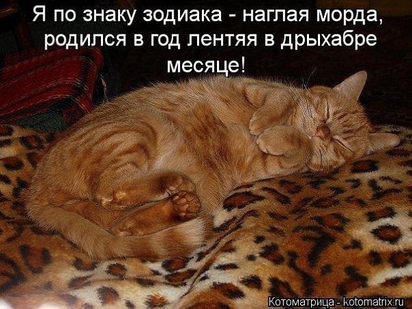���� - 4 ���� 2014 � 11:42