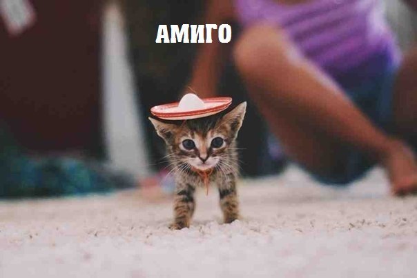     ! =))) <a href=