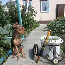 ������ �� ���������,� � ������ �� ������� ���� ����������