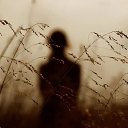 ���� ���������, ������ - ��������� 3 ��� 2014 � ������ ������ ��������