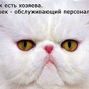 ���� ����, ���������, 46 ��� - ��������� 28 ���� 2014 � ������ ������ ��������