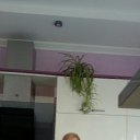 ���� ������, ������ - ��������� 29 ���� 2014 � ������ ���