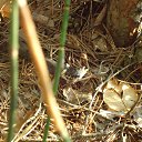 ���� �����, ���������, 58 ��� - ��������� 21 ������� 2014 � ������ �������