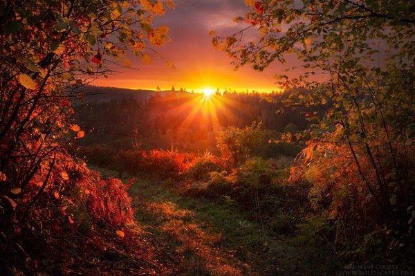  , .  Florent Courty