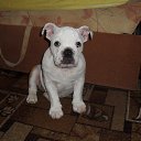 ��������-����� ���� �����. �� ������� ����������