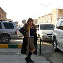 ���� �����, ����������, 56 ��� - ��������� 20 ������ 2014